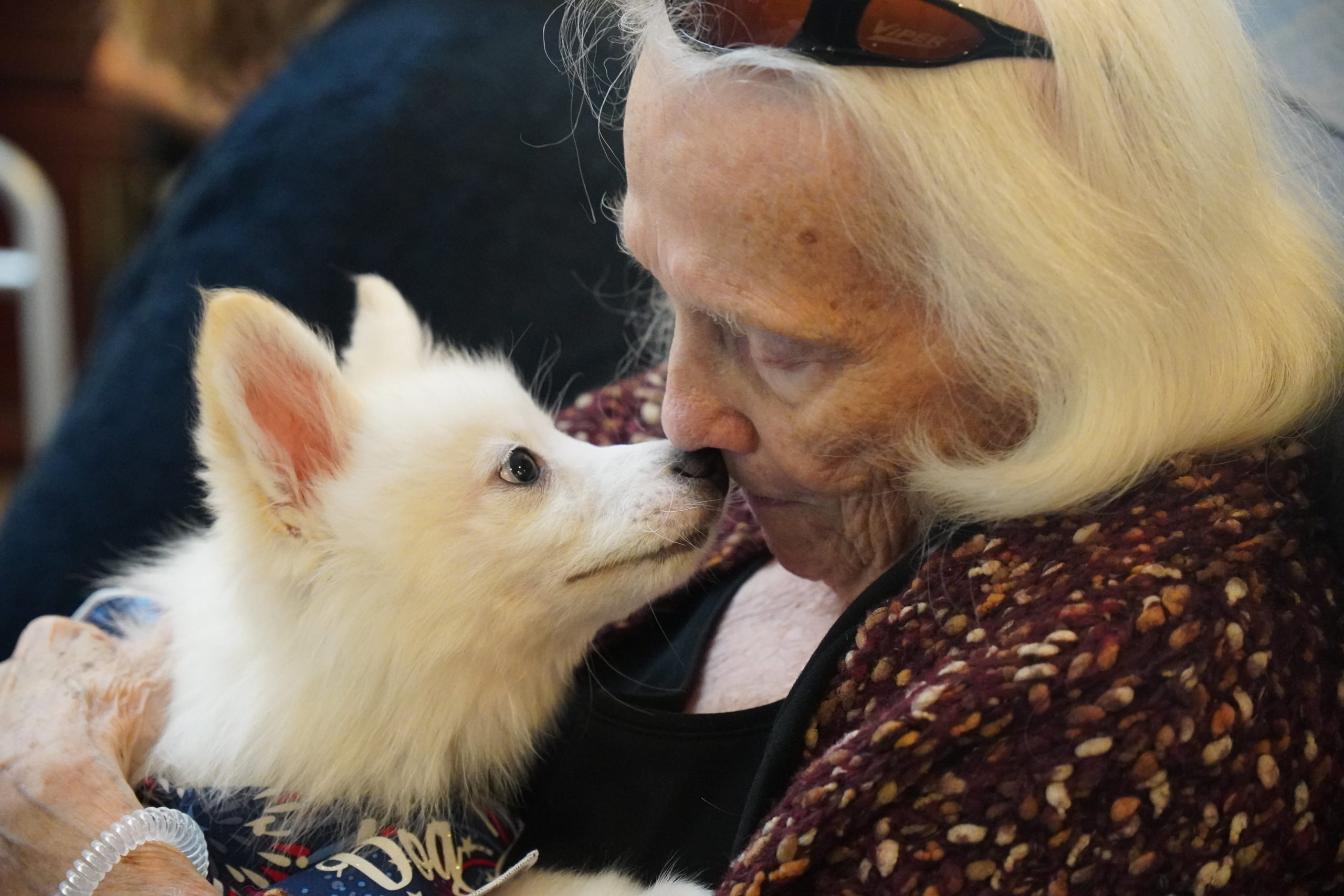 A puppy sniffing and kissing a patient from the Sodalis of Largo Center.