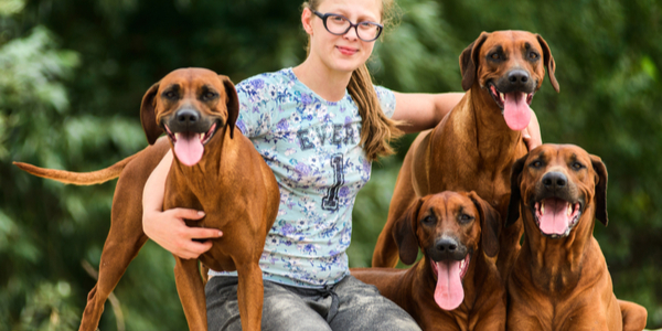 shutterstock_1545405689-1