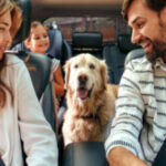 Shutterstock_2051440676