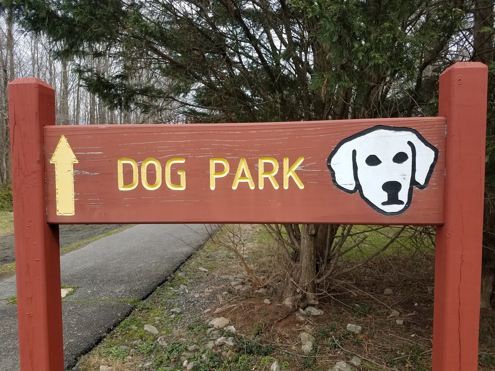Best Puppy Dog Parks