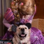 Top-Halloween-Costumes-for-Dogs-1