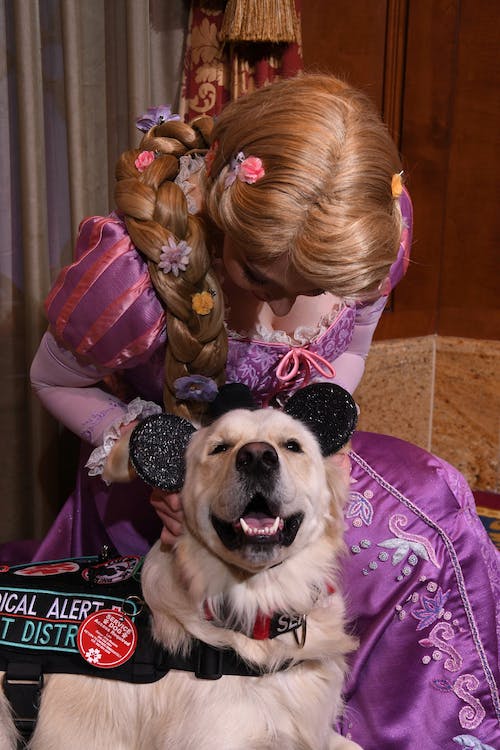 Top-Halloween-Costumes-for-Dogs-1