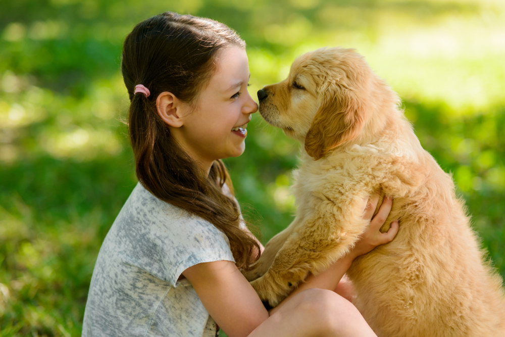 A smiling girl holds a Golden Retriever puppy while sitting in the grass on a sunny day.