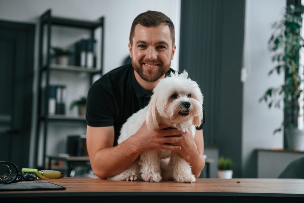 A handsome man holds a Maltese dog on a table to show he's not allergic to the hypoallergenic dog breed Maltese.