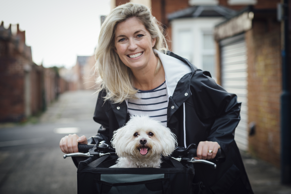 A happy blonde woman rides a bicycle with a Bichon Frise dog in the bicycle basket on a fair autumn day in November.