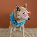 Coolest-Names-for-Dogs