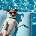 jack Russell dog in sunglasses chilling on an inflatable mattress in water by the sea or swimming pool in summer holiday vacation
