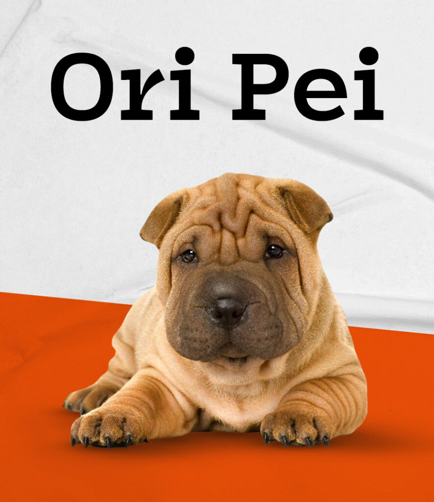 Ori Pei