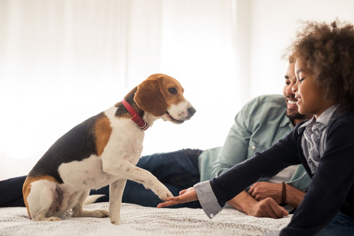 Website-Blog-Photos-1-1