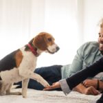 Website-Blog-Photos-1