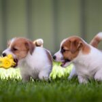 Website-Blog-Photos-3-1