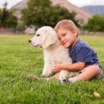 Commitment-to-Animal-Welfare-1