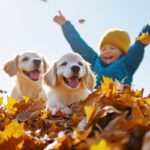 Website-Blog-Photos-1