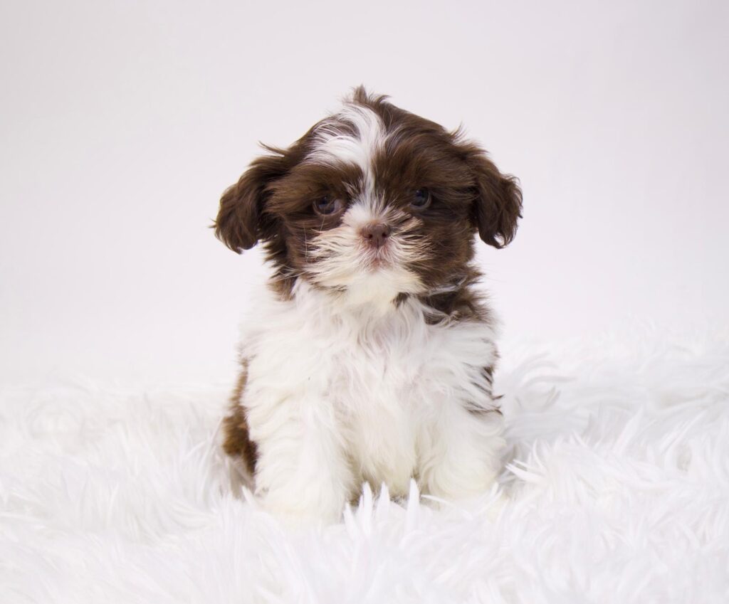 2f675683-4421-44ec-bb8e-0de140882a54