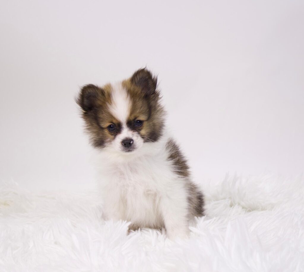 735d5e4f-bd6f-4ef9-aab2-2b0bb08652d5