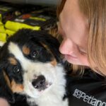 buying-a-puppy-from-petland-1