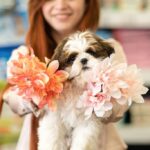 petland-petcenter-dog-mom-resume-fun-may-2026